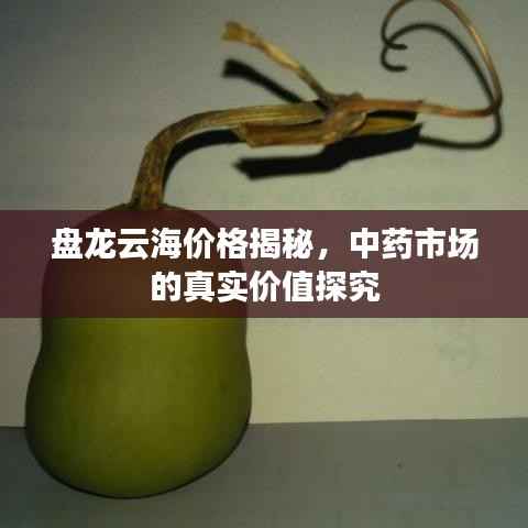 盘龙云海价格揭秘,中药市场的真实价值探究