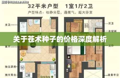关于苍术种子的价格深度解析