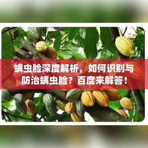 螨虫脸深度解析,如何识别与防治螨虫脸?百度来解答!