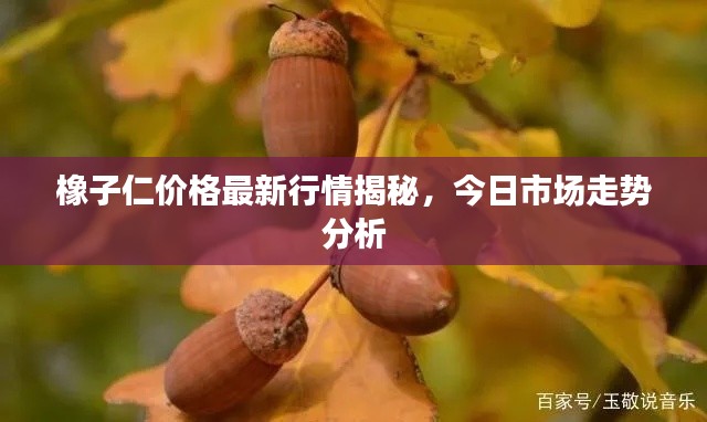 橡子仁价格最新行情揭秘,今日市场走势分析