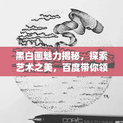 黑白画魅力揭秘,探索艺术之美,百度带你领略无限魅力