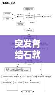 突发肾结石就诊步骤,肾结石就诊流程