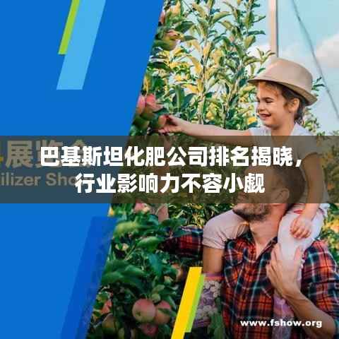 巴基斯坦化肥公司排名揭晓,行业影响力不容小觑