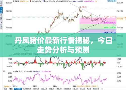 丹凤猪价最新行情揭秘,今日走势分析与预测