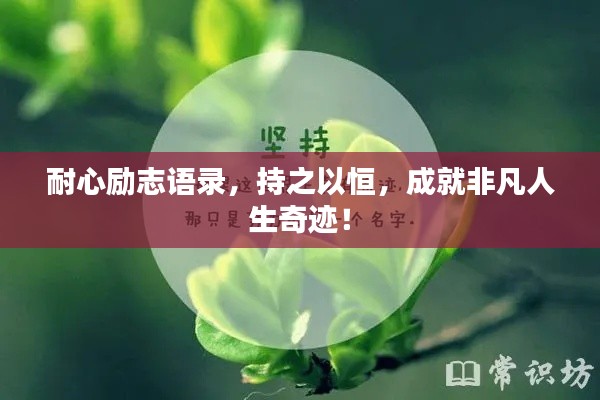 耐心励志语录,持之以恒,成就非凡人生奇迹!