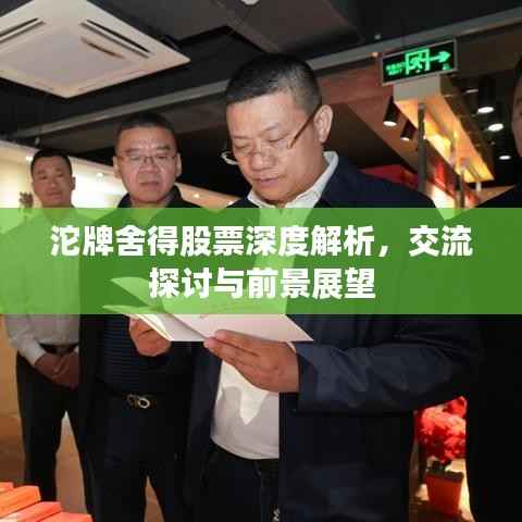 沱牌舍得股票深度解析,交流探讨与前景展望