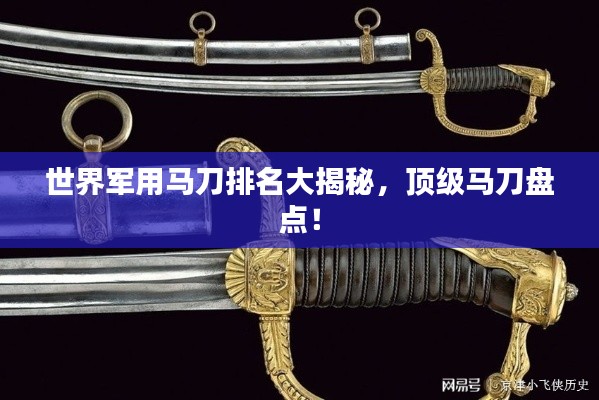 世界军用马刀排名大揭秘，顶级马刀盘点！