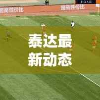 泰达最新动态,今日揭秘新消息!