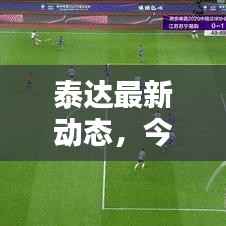 泰达最新动态,今日揭秘新消息!