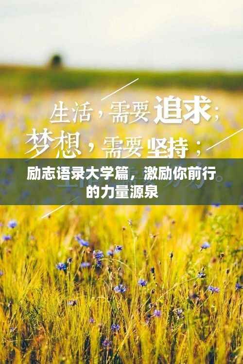 励志语录大学篇,激励你前行的力量源泉
