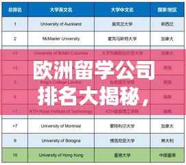欧洲留学公司排名大揭秘,影响力与选择指南