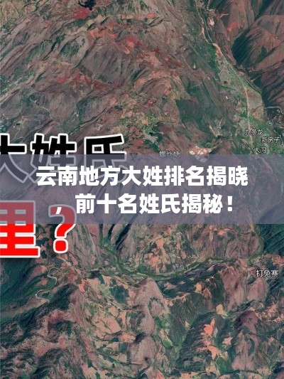 云南地方大姓排名揭晓,前十名姓氏揭秘!