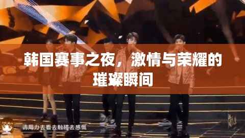 韩国赛事之夜,激情与荣耀的璀璨瞬间