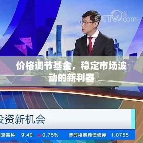 价格调节基金,稳定市场波动的新利器