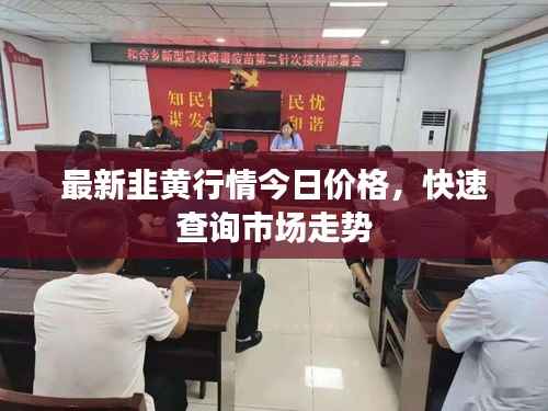 最新韭黄行情今日价格,快速查询市场走势