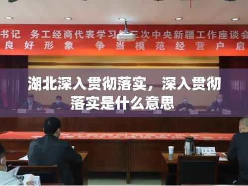 湖北深入贯彻落实,深入贯彻落实是什么意思