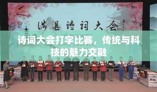 诗词大会打字比赛,传统与科技的魅力交融