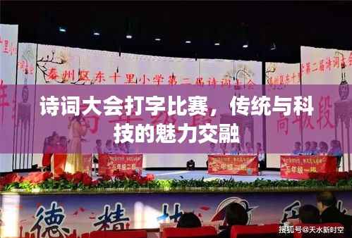 诗词大会打字比赛,传统与科技的魅力交融
