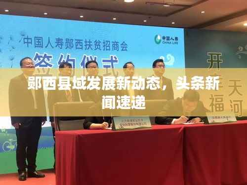 郧西县域发展新动态,头条新闻速递