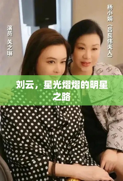 刘云,星光熠熠的明星之路