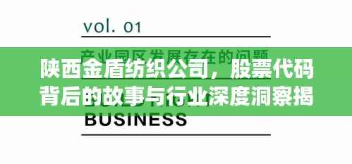 陕西金盾纺织公司,股票代码背后的故事与行业深度洞察揭秘
