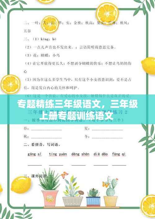 专题精练三年级语文,三年级上册专题训练语文