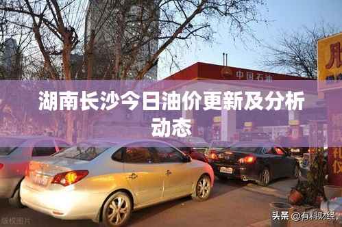 湖南长沙今日油价更新及分析动态