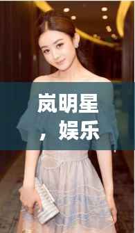 岚明星,娱乐圈的闪耀之星