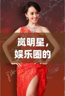 岚明星,娱乐圈的闪耀之星