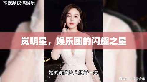 岚明星,娱乐圈的闪耀之星
