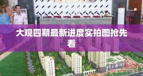 大观四期最新进度实拍图抢先看