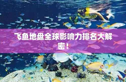 飞鱼地盘全球影响力排名大解密!