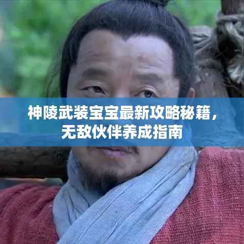 神陵武装宝宝最新攻略秘籍,无敌伙伴养成指南