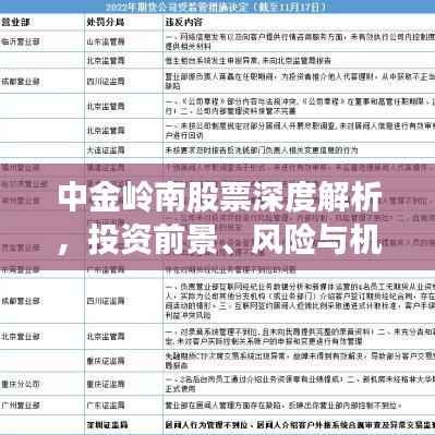 中金岭南股票深度解析,投资前景、风险与机遇一网打尽