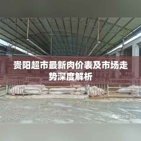 贵阳超市最新肉价表及市场走势深度解析
