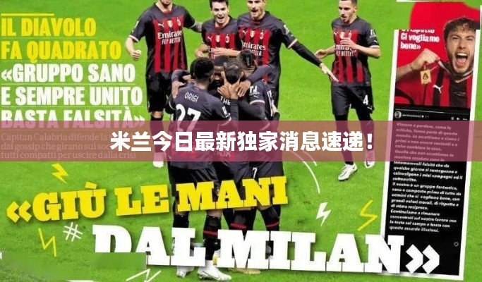 还淳反素 第5页