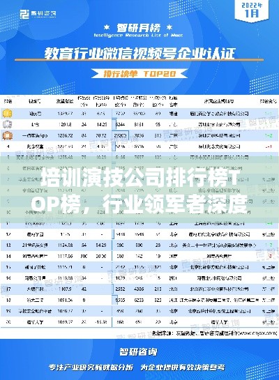 培训演技公司排行榜TOP榜,行业领军者深度解析