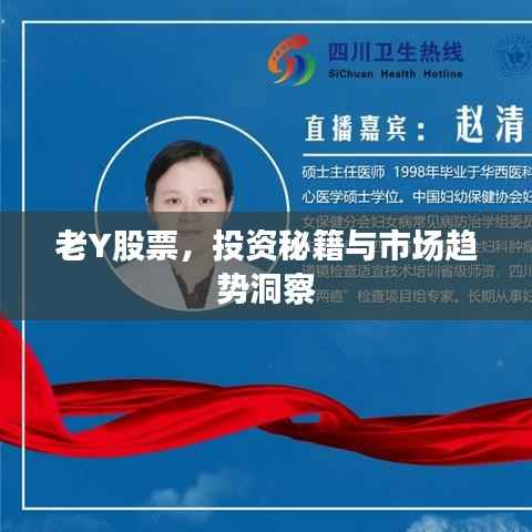 老Y股票,投资秘籍与市场趋势洞察