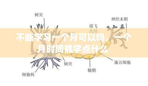 欧贵婚俗 第5页