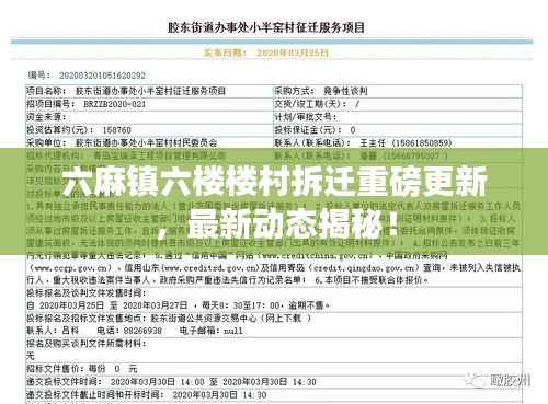 六麻镇六楼楼村拆迁重磅更新,最新动态揭秘!