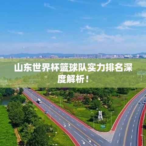 山东世界杯篮球队实力排名深度解析!