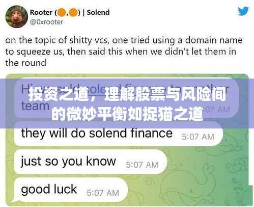 投资之道,理解股票与风险间的微妙平衡如捉猫之道