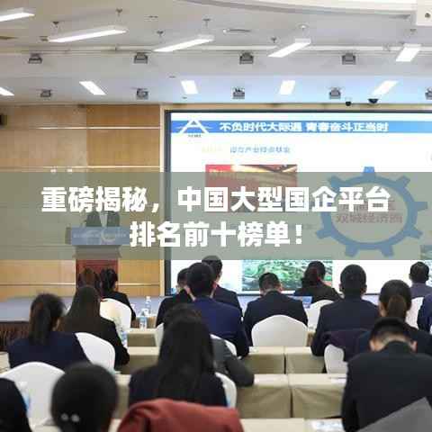重磅揭秘,中国大型国企平台排名前十榜单!