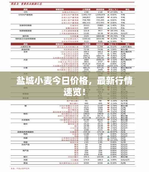 盐城小麦今日价格，最新行情速览！