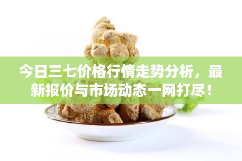 今日三七价格行情走势分析，最新报价与市场动态一网打尽！