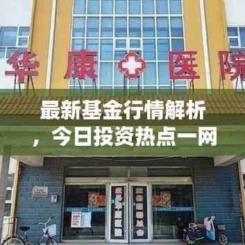 最新基金行情解析,今日投资热点一网打尽!