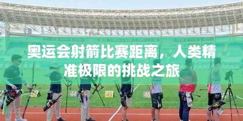奥运会射箭比赛距离,人类精准极限的挑战之旅