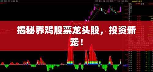 揭秘养鸡股票龙头股,投资新宠!