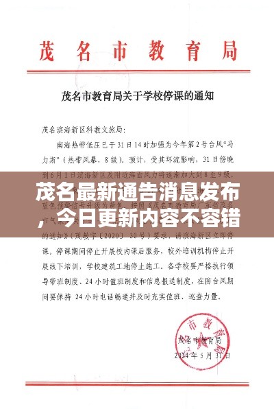 茂名最新通告消息发布，今日更新内容不容错过