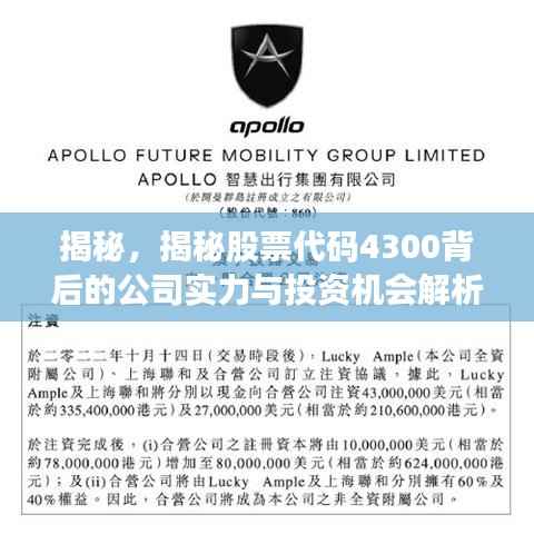 揭秘，揭秘股票代码4300背后的公司实力与投资机会解析